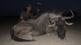 Bowhunting GIANT Wildebeest In Africa!! {First Time}