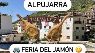 Alpujarra y Rute en Navidad.  *Estrella Nomada Van Life*  Capitulo 21.