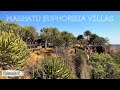 Mashatu Euphorbia Villas - The most beautiful lodge in Botswana | Episode 5