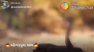 હે અમે રાજી ગોગા તારા રાજમ રે new status 2018