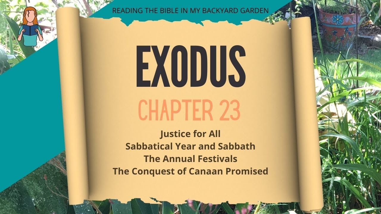 Exodus Chapter 23 Nrsv Bible Read Aloud Youtube