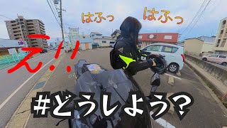 【バイク女子】バイク乗りなら知ってるラーメン屋さんに！【最後にびっくり仰天ニュース】