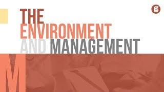 The Environment and Management