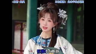 “大明不妙曲”#此去半生 #音乐 #dj #大明不妙曲 #小曲一响老朱登场