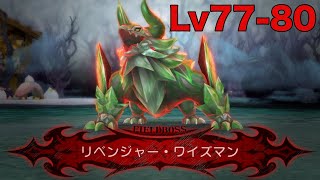 【グリムエコーズ】ソウルボス「リベンジャー・ワイズマンLv77-80」