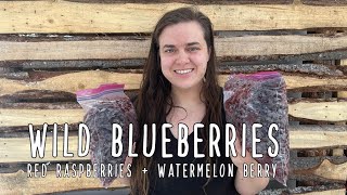 Preserving our Berry Harvest - Final day of our freezer challenge