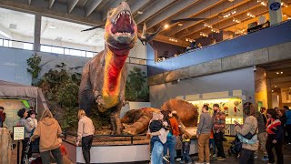 Earth Sciences Gallery