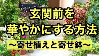 【ガーデニングを楽しもう！】殺風景なアプローチを寄せ植えと寄せ鉢で華やかにします。寄せ植えの解体から鉢を配置するところまでの動画です。