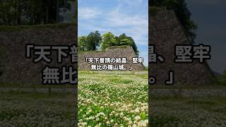 日本の名城　兵庫県丹波篠山市　篠山城 #music #piano #bgm #instrumental #日本昔話 #音楽史 #history #音楽物語 #雑学 #古典派音楽