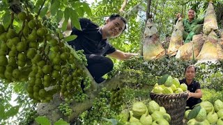 15 days of harvesting fruits and bamboo shoots to sell at rural markets