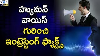 హ్యుమన్ వాయిస్ గురించి ఇంట్రెస్టింగ్ ఫ్యాక్ట్స్  || Interesting Facts About Human Voice