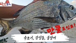 발판좋고 낚시 하기좋고 물고기도 잘나오는 궁항 원투낚시 낚시포인트