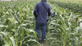 雑草を上手く活用する夏野菜栽培　22/13