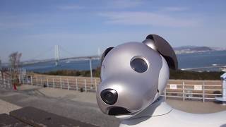 aibo 初めてのお出かけ。え、ここどこ？　目覚めたら知らないところに・・・