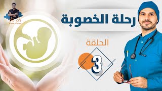 ٣-رفع الخصوبة واسلوب حياتك /اساسيات رفع الخصوبة وحدوث الحمل