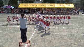 2017年度　にしふじのみや幼稚園　運動会マーチング（隊形移動）