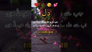 Heart Shair o Shairi #shorts #youtubeshorts #shaan-e-shayari #heart