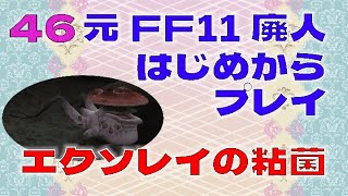 【FF11】元FF11廃人が懐かしみながら初めからプレイする46　12日目　2パート