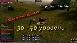 Эффективная СОЛО прокачка с 30 по 40 в Lineage 2 Classic