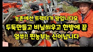 고추밭  옥수수밭 트렉터  두둑 만들기 비닐피복하기  동시피복기