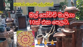 මල් පෝච්චි ව්‍යාපාර,10ක් එක පෙලට බලමුද? / ,How to grow your flower pot business