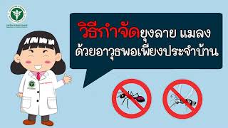 กรมวิทยาศาสตร์การแพทย์ แนะวิธีกำจัดยุงลายและแมลง ด้วยอาวุธพอเพียงประจำบ้าน