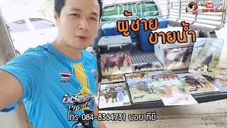 บอย ทีซี จำหน่ายน้ำเชื้อวัวควายสุดฮ็อตมีทุกตัวในประเทศไทย โทร.0848364731