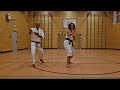 Karatedo Doshinkan Surheim - Training mit Partner