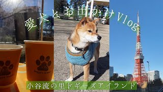 【愛犬Vlog】ワンコとお出かけ/ドッグラン/ドギーズアイランド