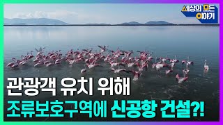 관광객 유치 위해 조류보호구역에 신공항 건설ㅣ세모이 [53회] / YTN2