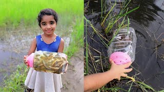 Simple Bottle Fish trap | Meenpidutham |കുപ്പിയിൽ മീന്‍പിടുത്തം | Aysha Lamiya