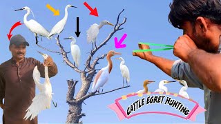 Cattle Egret Handmade Slingshot Hunting With Excellent Shots!