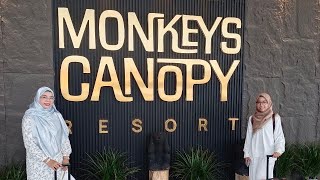 Monkeys Canopy