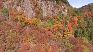 曽爾村・紅葉の屛風岩！