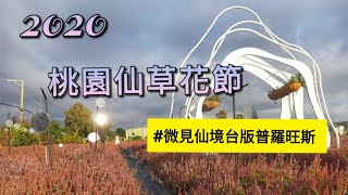 Taiwan,Taoyuan 2020桃園仙草花節 Taoyuan Flower Festival - 微見仙境