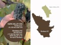 Napa Valley Rocks: Overview of the Napa Valley