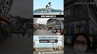 非常に自由な旅です #shorts