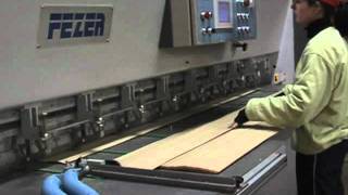 Veneer Jointing Guillotine with Glue Application Unit / Guilhotina Refiladeira