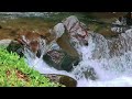 The sound of a clear river flowing from a mountain waterfall, ASMR nature sounds, meditation, sleep