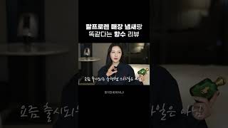 랄프로렌 매장에서 나는 향기?!💚🧸 폴로 EDT 향수 리뷰