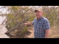 Riverbank erosion in the Sacramento Valley