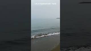 Fujairah 017 | Life in Fujairah UAE - தமிழ்