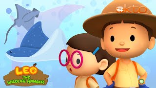 Leo the Wildlife Ranger S1 | Let's bring the Reel Manta Ray BACK to SEA! | Mini-Ep | @mediacorpokto