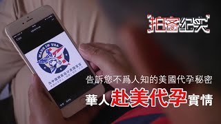 美國代孕：資深中介解讀華人赴美代孕實情