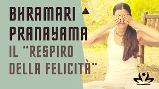 Bhramari pranayama il “respiro della felicità”