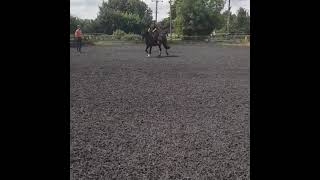 Little bit of video from a lesson in 2019