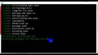 Angular 4 install on windows