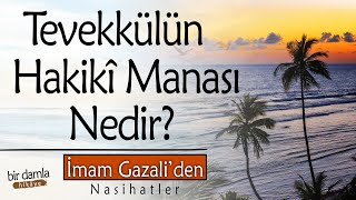 Tevekkülün Hakiki Manası ve Hükmü Nedir? | İmam Gazali'den Nasihatler