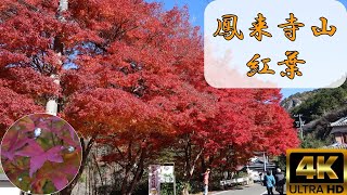 【紅葉2024】鳳来寺山 登山口