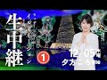 【ライブ】イルミ散歩①・小川千奈キャスター／2024.12.5 夕方頃~ #イルミネーション